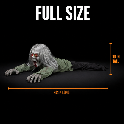 Crawling Zombie